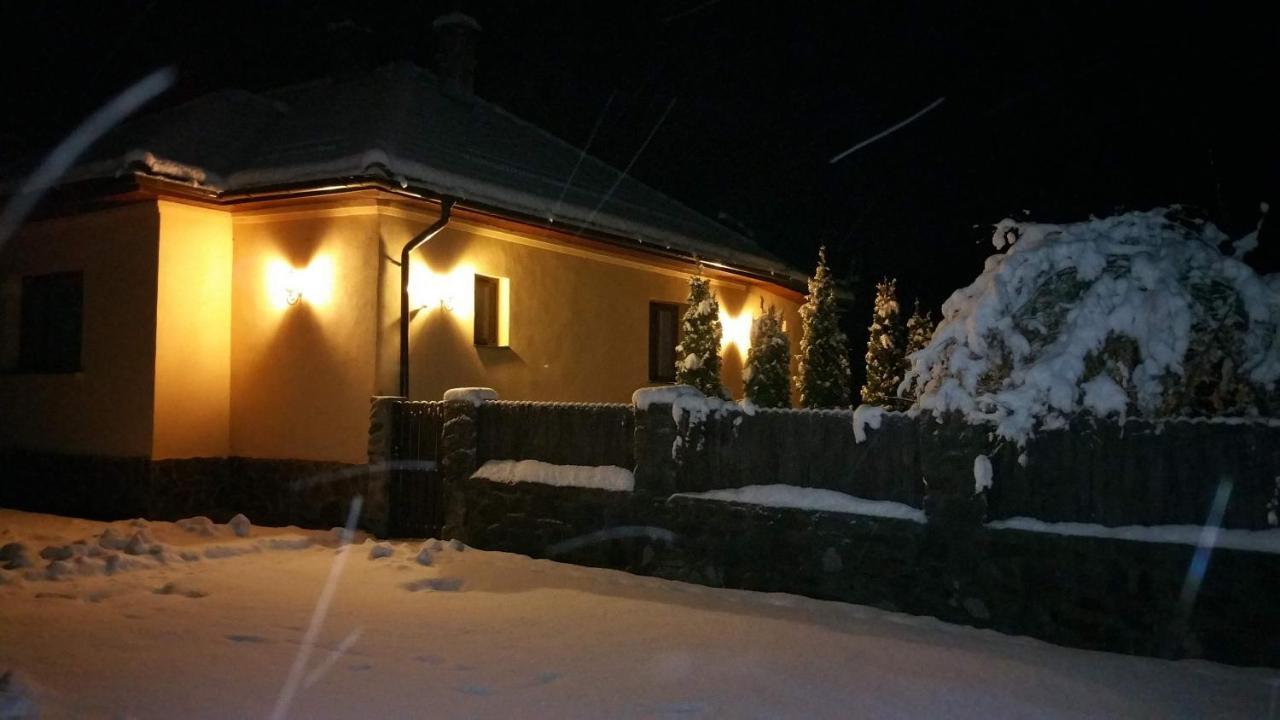 Casa Alex Villa Valiug Bagian luar foto