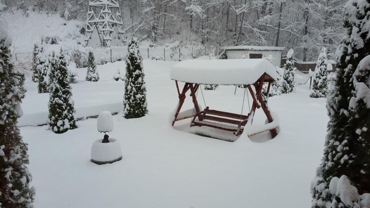 Casa Alex Villa Valiug Bagian luar foto