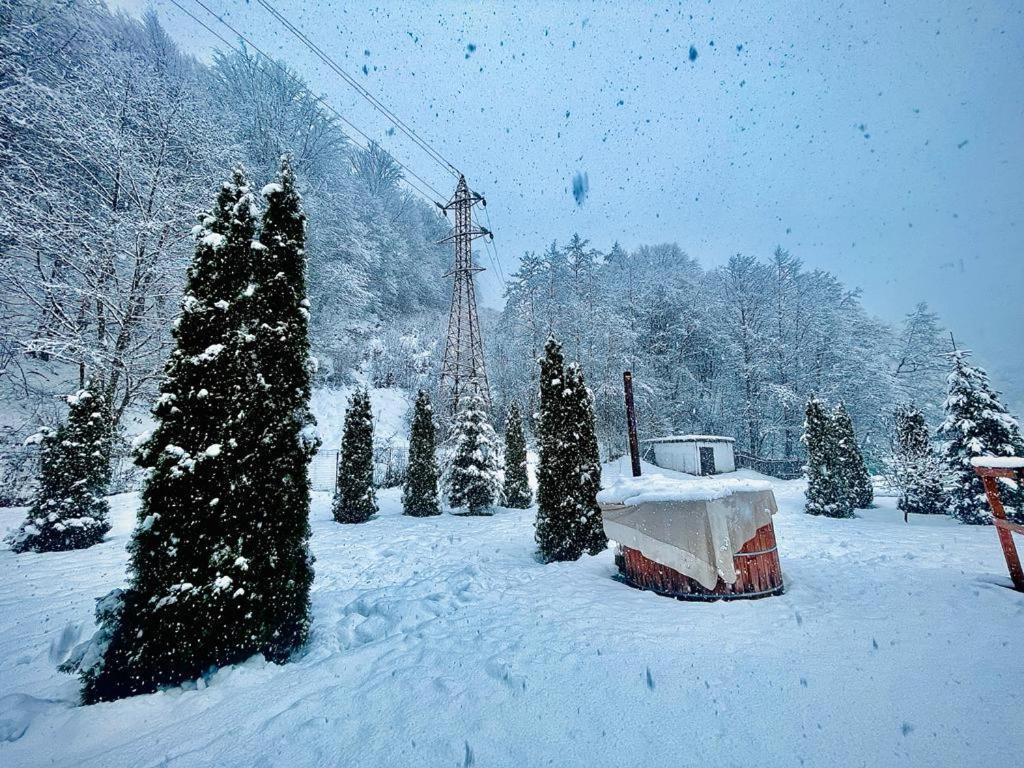 Casa Alex Villa Valiug Bagian luar foto