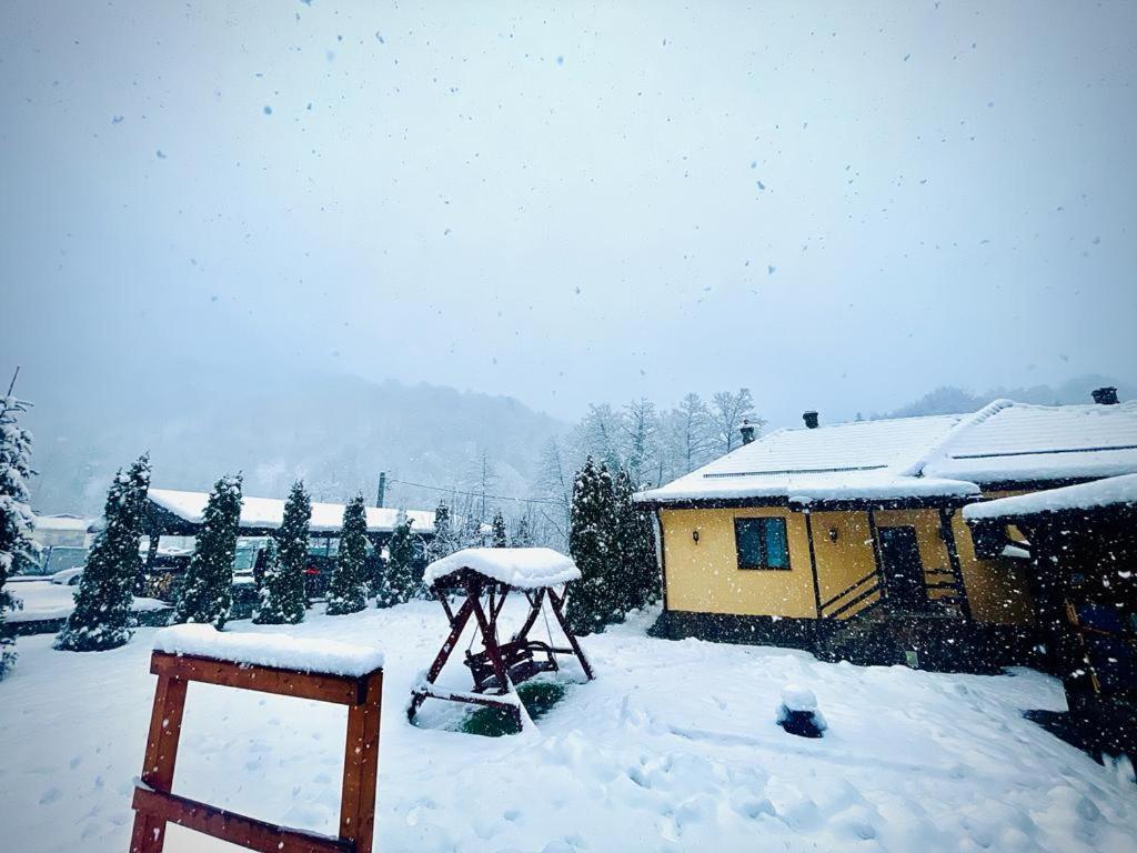 Casa Alex Villa Valiug Bagian luar foto