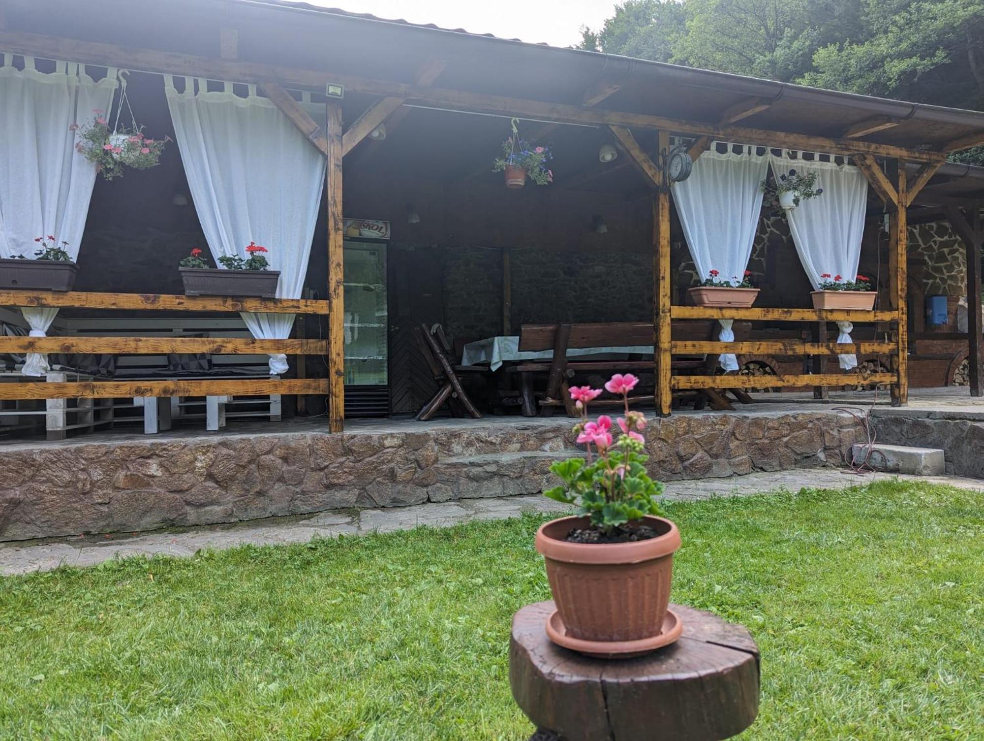 Casa Alex Villa Valiug Bagian luar foto