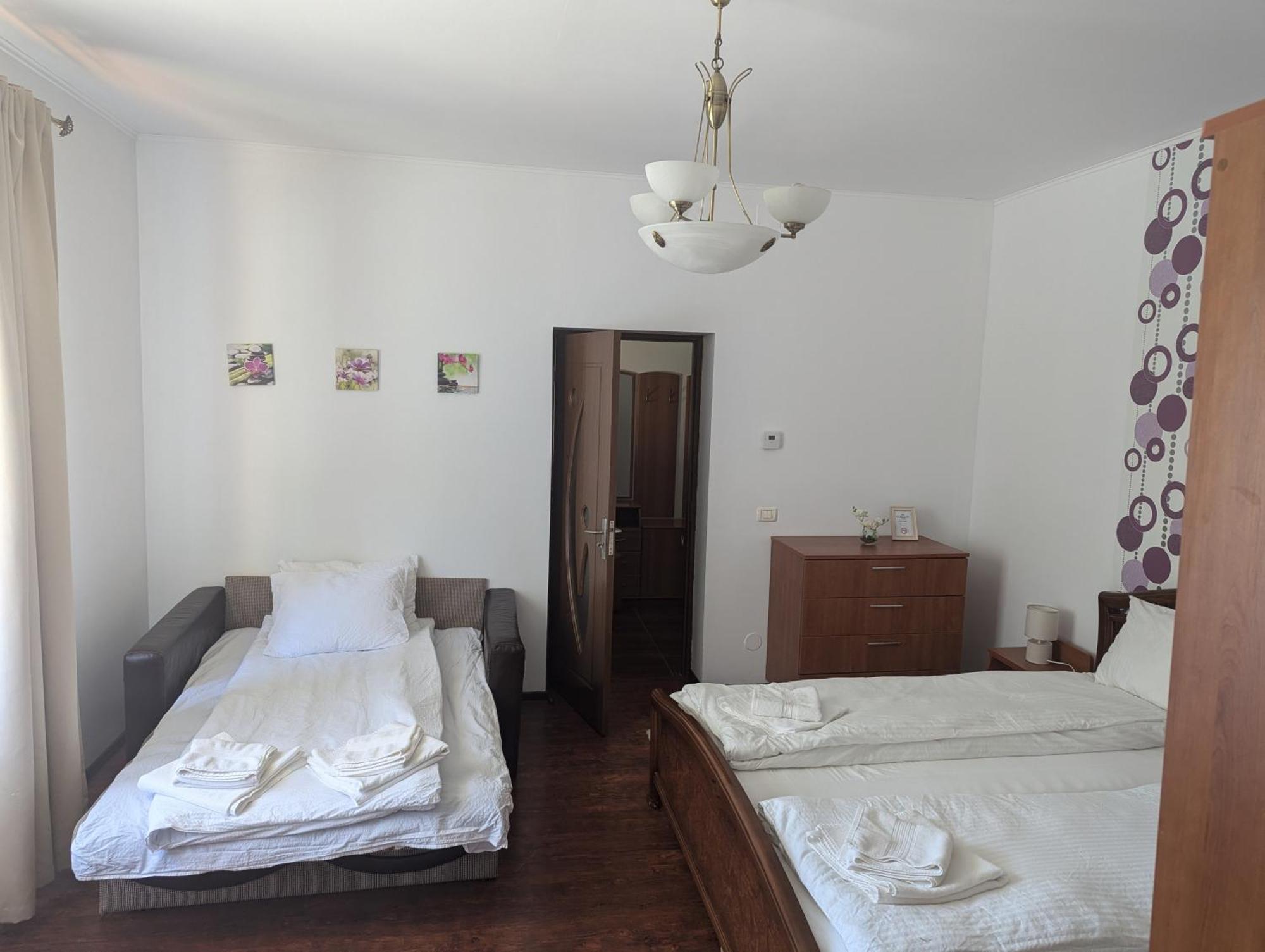 Casa Alex Villa Valiug Bagian luar foto